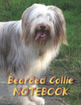 Bearded Collie NOTEBOOK: notebooks and journals 110 pages (8.5"x11")