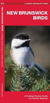 Misc. New Brunswick Birds: A Folding Pocket Guide to Familiar Species Book