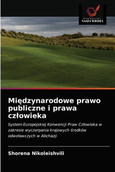 Paperback Międzynarodowe prawo publiczne i prawa czlowieka [Polish] Book