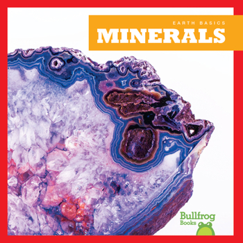 Paperback Minerals Book