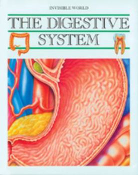 Hardcover Digestive System (Invis World) Book