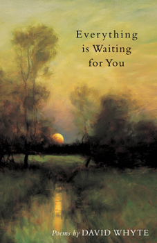 Paperback Everything Is Waiting for You Book
