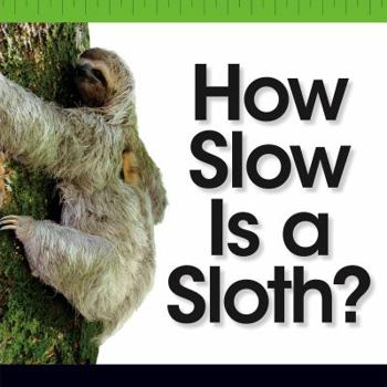 Library Binding How Slow Is a Sloth? Book