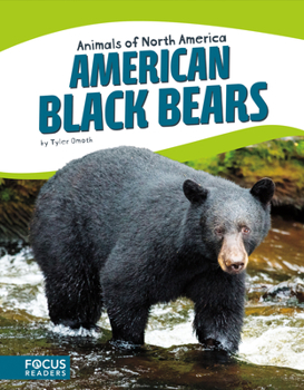 Paperback American Black Bears Book