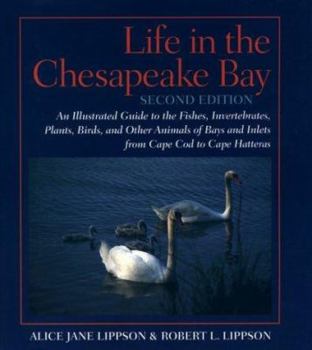 Paperback Life in the Chesapeake Bay Book
