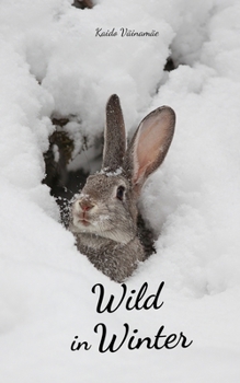 Paperback Wild in Winter Book