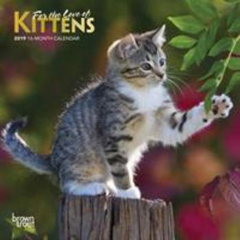 Calendar For the Love of Kittens 2019 7 x 7 Inch Monthly Mini Wall Calendar with Foil Stamped Cover, Animals Cats Kittens Feline Book