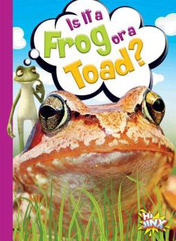 Paperback Is It a Frog or a Toad? Book