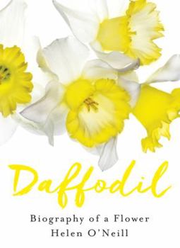 Hardcover Daffodil Book