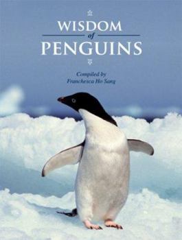 Hardcover Wisdom of Penguins Book