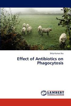 Paperback Effect of Antibiotics on Phagocytosis Book