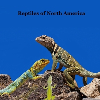 Paperback Reptiles of North America Kids Book: Great Children's Reptile Book about Snakes, Lizards, Turtles, Alligators Book