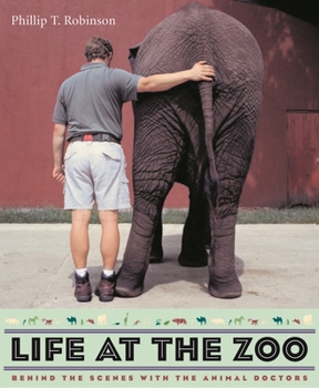 Paperback Life at the Zoo: Behind the Scenes with the Animal Doctors Book