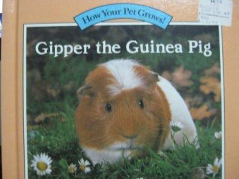 Hardcover GIPPER THE GUINEA PIG (How Your Pet Grows!) Book
