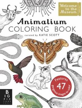 Paperback Animalium Coloring Book