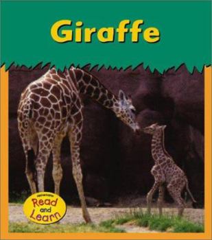 Paperback Giraffe Book