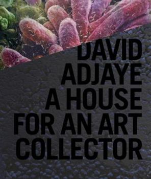 Hardcover David Adjaye: A House for an Art Collector Book
