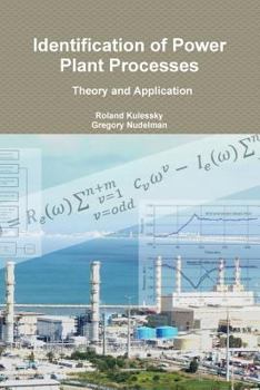 Paperback Identification of Power Plant Processes - Theory and Application Book