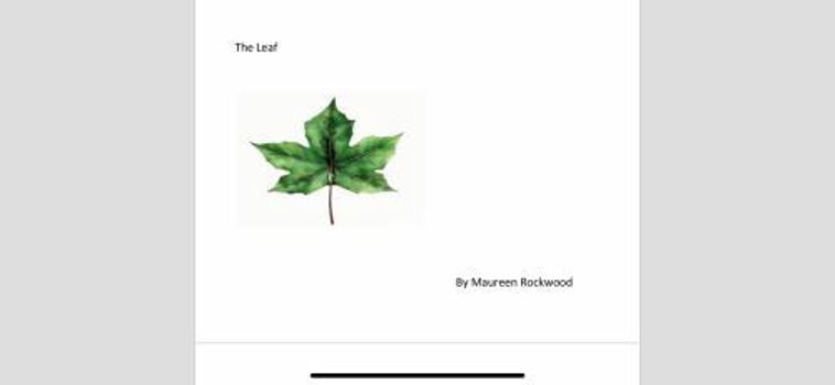 Paperback The Leaf Book