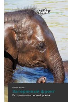 Paperback Zateryannyy front [Russian] Book