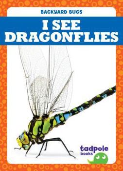 Veo Libélulas / I See Dragonflies - Book  of the Backyard Bugs