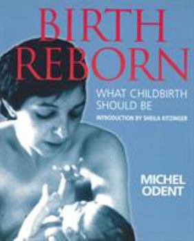 Paperback Birth Reborn: What Childbirth Should Be. Michel Odent Book