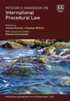 Hardcover Research Handbook on International Procedural Law (Research Handbooks in International Law series) Book