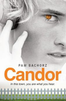 Paperback Candor Book