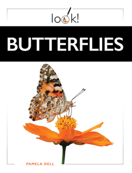 Butterflies (Look!)