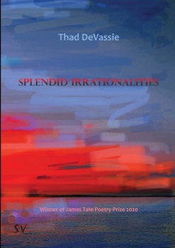 Paperback Splendid Irrationalities Book