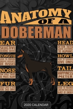 Paperback Anatomy Of A Doberman: Doberman 2020 Calendar - Customized Gift For Doberman Dog Owner Book