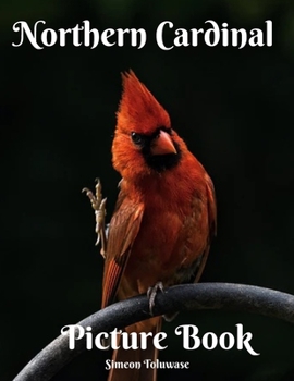 Northern Cardinal Picture Book: Songbird A Gift Book for Alzheimer's Patients and Seniors with Dementia and Bird Watchers A photo book for Kids and ... Backyard Bird | Angel Visiting your backyard