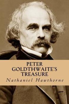 Paperback Peter Goldthwaite's Treasure Book