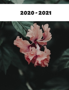 Paperback 2020-2021: Monthly Planner 2020-2021 Book