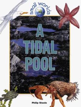 A Tidal Pool (Small Worlds) - Book  of the Small Worlds