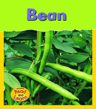 Bean - Book  of the Life Cycles