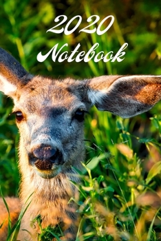 2020 Notebook: Lined notebook journal, diary, appointment book to write in for the coming year 100 pages