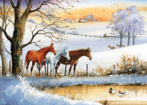 Misc. Horses in Winter Deluxe Boxed Holiday Cards (20 Cards, 21 Self-Sealing Envelopes) Book