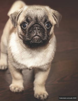 Calendario annuale 2020: ? Manuale dell'organizzatore pratico per il 2020 ? Anteprima di 12 mesi ? 52 pianificatore settimanale con compiti e obiettivi ? formato A4+ ? motif: Mops (Italian Edition)