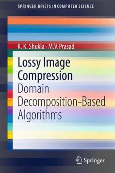 Paperback Lossy Image Compression: Domain Decomposition-Based Algorithms Book