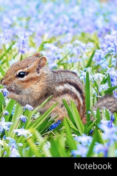 Notebook: Ardilla, Primavera, Campo, Prado Cuaderno / Diario / Libro de escritura / Notas - 6 x 9 pulgadas (15.24 x 22.86 cm), 150 páginas, superficie brillante.
