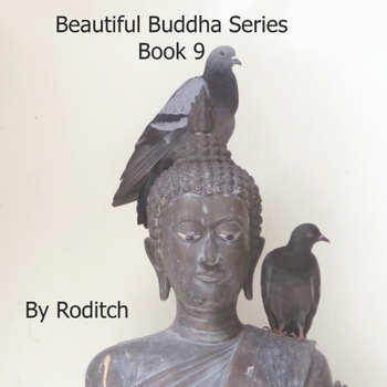 Beautiful Buddha Series: Book 9