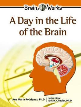 Hardcover A Day in the Life of the Brain Book