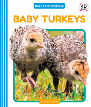 Library Binding Baby Turkeys Book