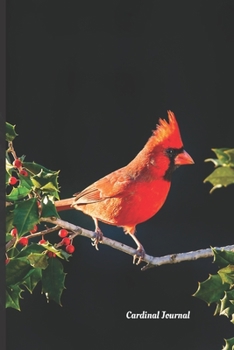 Cardinal Journal: Visitor From Heaven