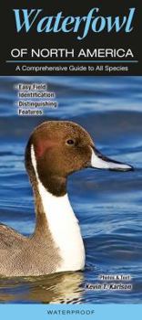 Pamphlet Waterfowl of North America: A Comprehensive Guide to All Species Book