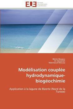 Paperback Modélisation Couplée Hydrodynamique-Biogéochimie [French] Book