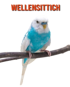 Wellensittich: Sch?ne Bilder & Kinderbuch mit interessanten Fakten ?ber Wellensittich