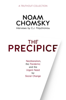 Paperback The Precipice: Neoliberalism, the Pandemic and the Urgent Need for Social Change Book