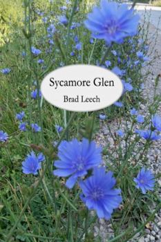 Hardcover Sycamore Glen Book